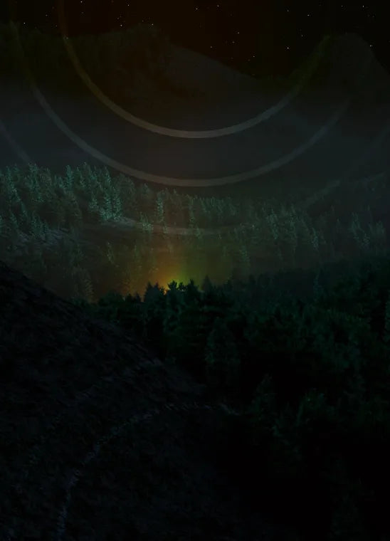 Nighttime forest landscape with a distant warm glow beneath a star-filled mountain sky | Polar Philippines